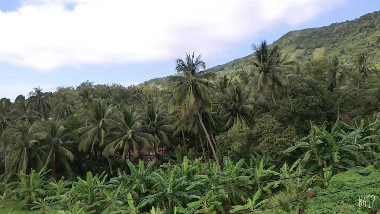 Homestay View Doi Hon Son Lai Son Exterior foto
